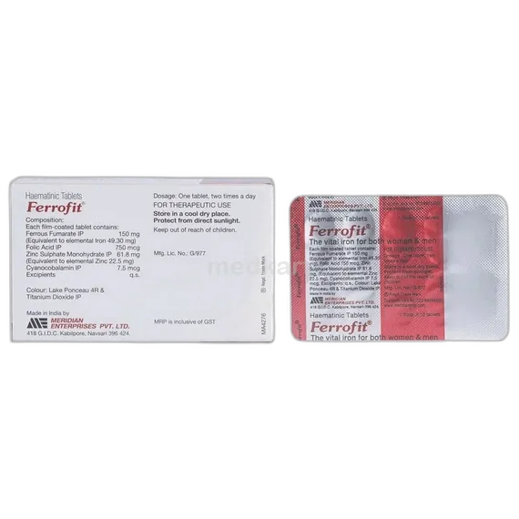 ferrofit tablet 10's